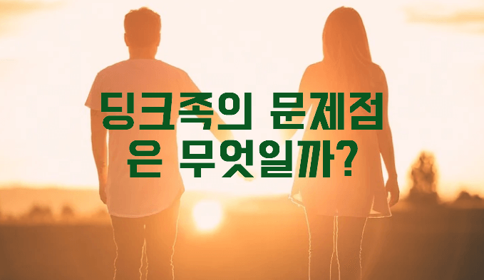 딩크족 문제점