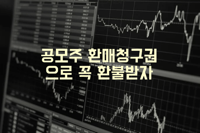 공모주 환불청구권