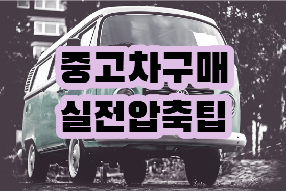 중고차 살때 팁