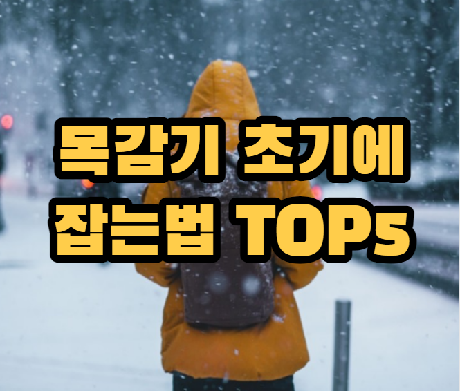 목감기 초기에 잡는법 TOP5