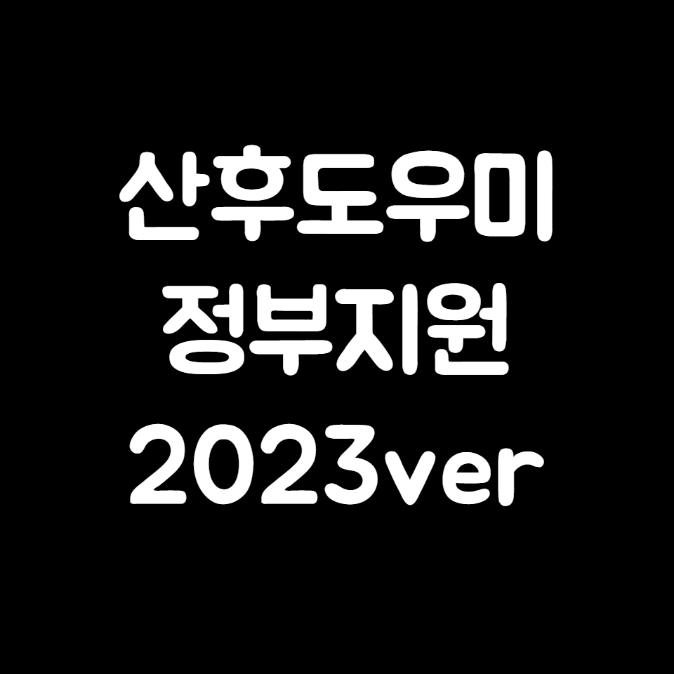 산후도우미 정부지원 2023