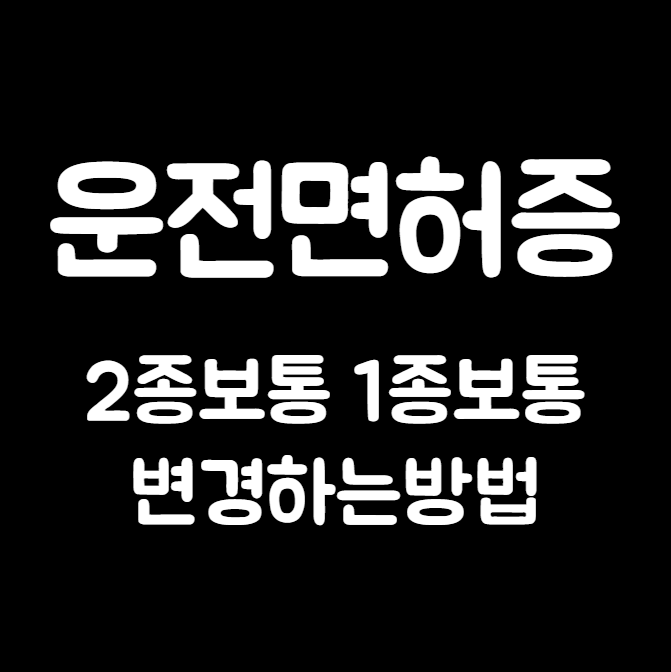 운전면허증 2종보통 1종보통