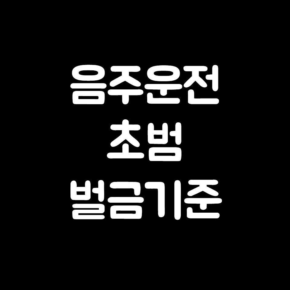 음주운전 초범 벌금기준
