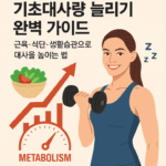 기초대사량 늘리기 완벽 가이드 근육 식단 생활습관으로 대사율 높이는 법