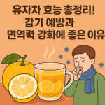 유자차 효능 총정리! 감기 예방과 면역력 강화에 좋은 이유