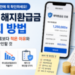 보험 해지환급금 조회 방법, 납입보험료보다 적은 이유와 해지 전 확인할 것