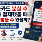 신용카드 분실 후 누가 결제했을 때 보상받을 수 있을까 신고 전 60일과 제외 사유